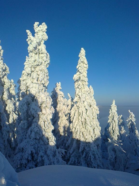 Koli Freetime Cottages Ahmovaara Ruang foto