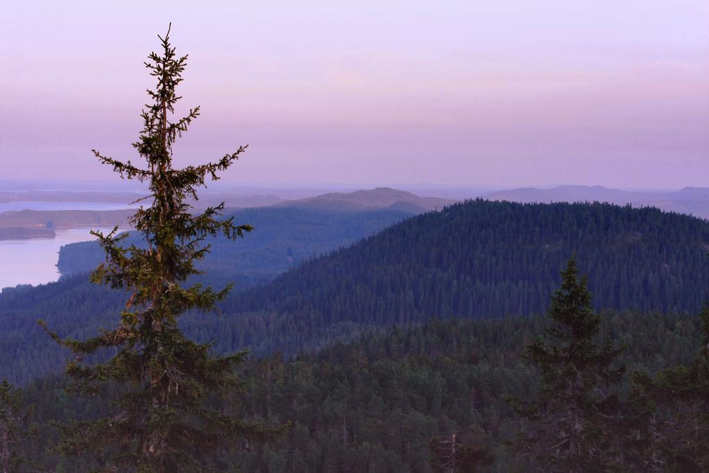 Koli Freetime Cottages Ahmovaara Ruang foto