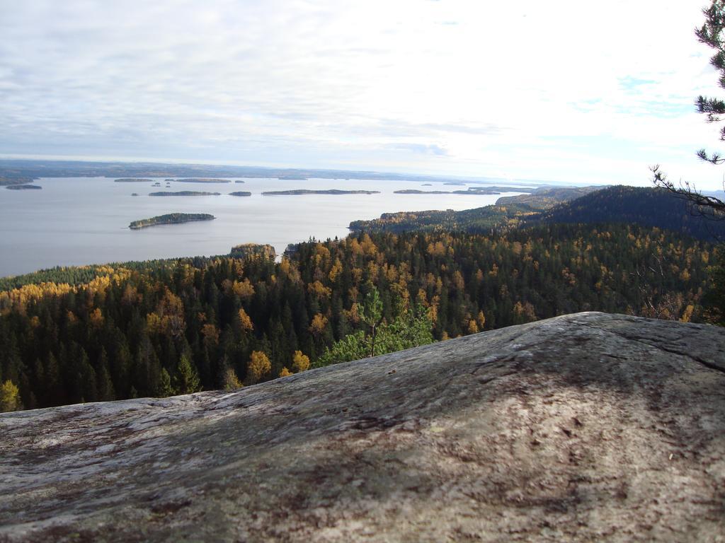 Koli Freetime Cottages Ahmovaara Ruang foto