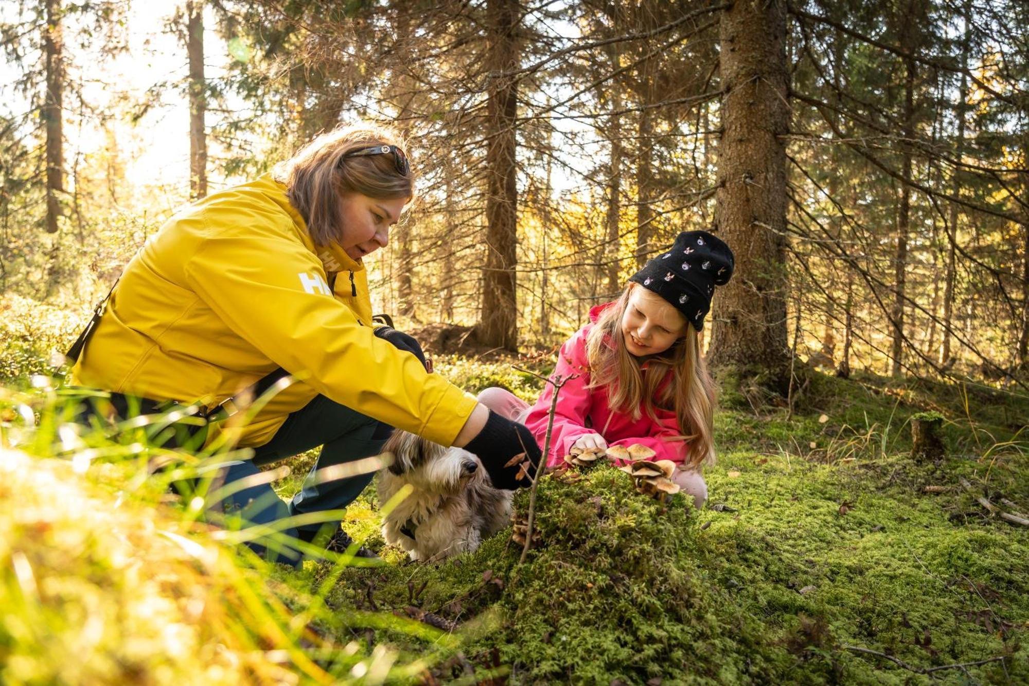 Koli Freetime Cottages Ahmovaara Bagian luar foto