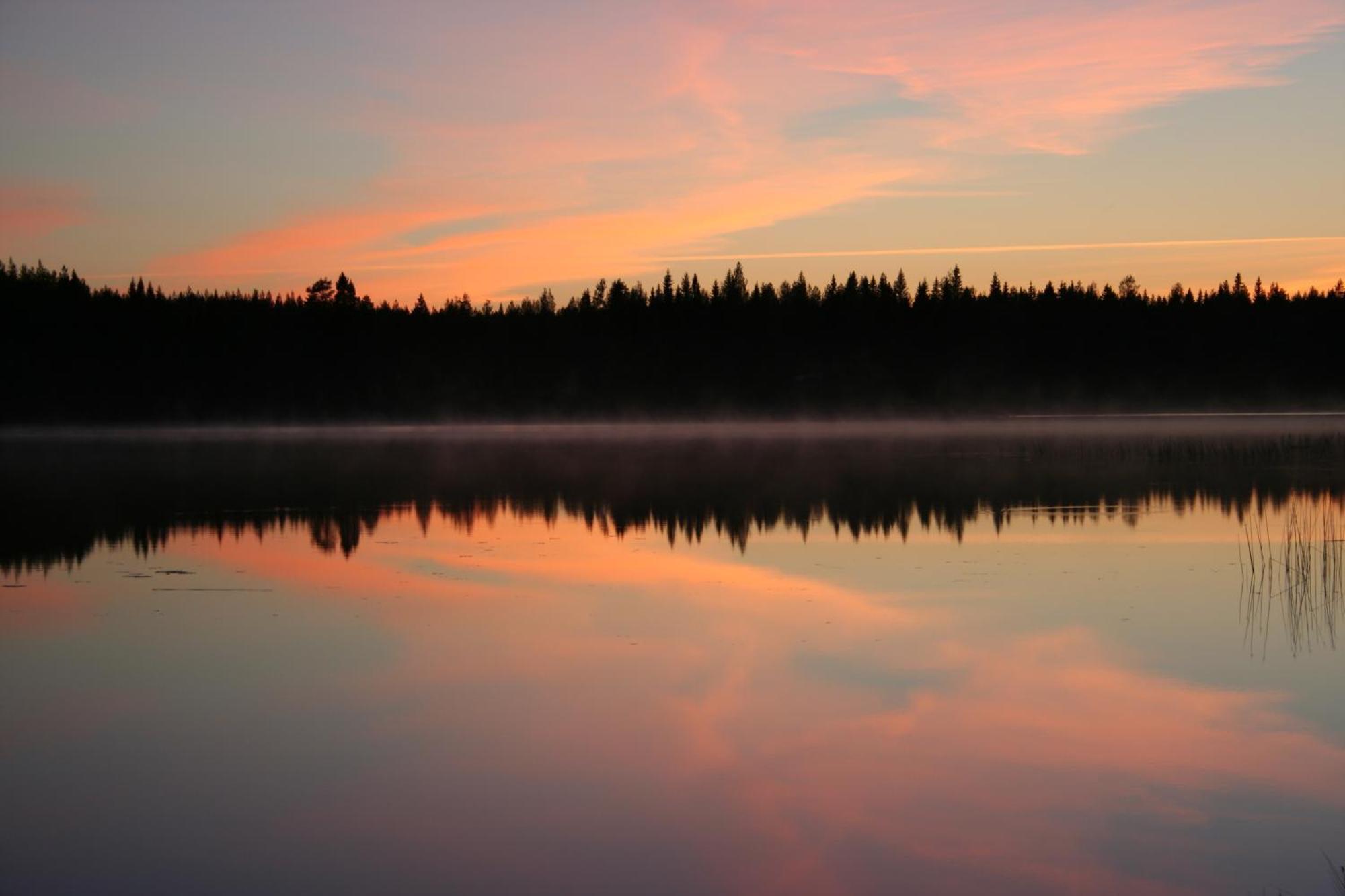 Koli Freetime Cottages Ahmovaara Ruang foto