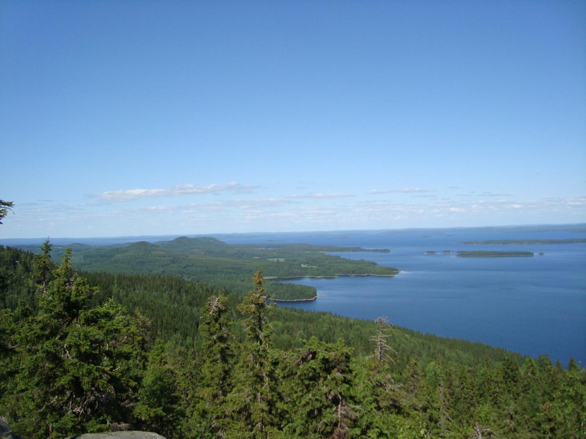 Koli Freetime Cottages Ahmovaara Ruang foto